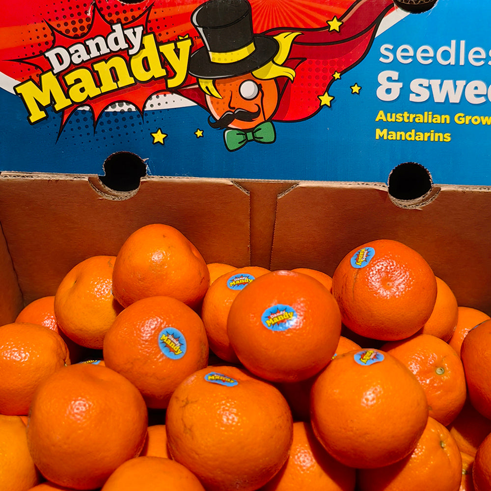 Dandy-Mandy-Seedless-Sweet-Mandarins---1kg-1