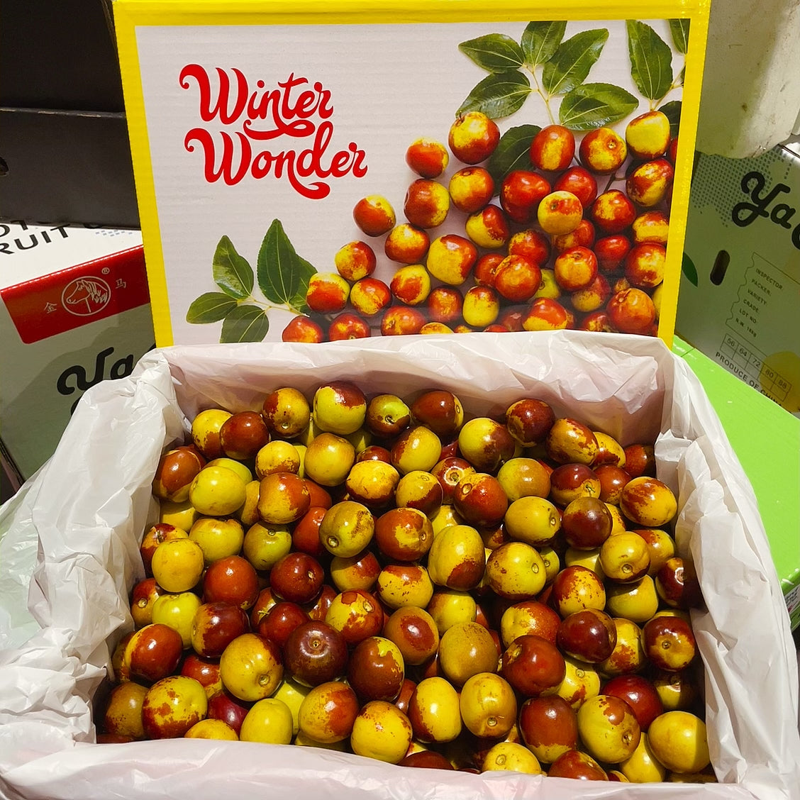 [Fresh]--Super-Sweet-Winter-Wonder-Dates,-Approximately-500g-1