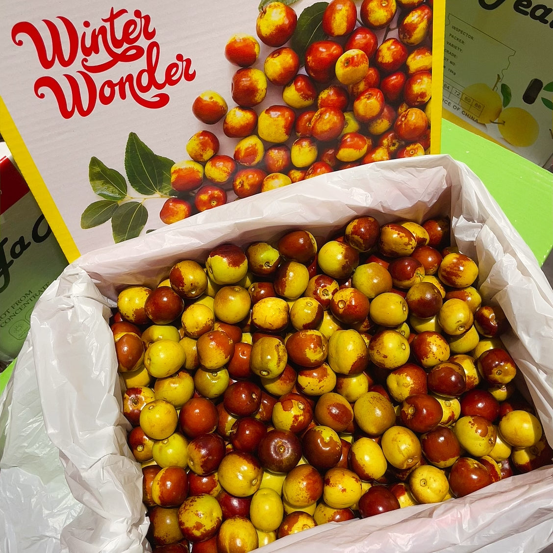 [Fresh]--Super-Sweet-Winter-Wonder-Dates,-Approximately-500g-1