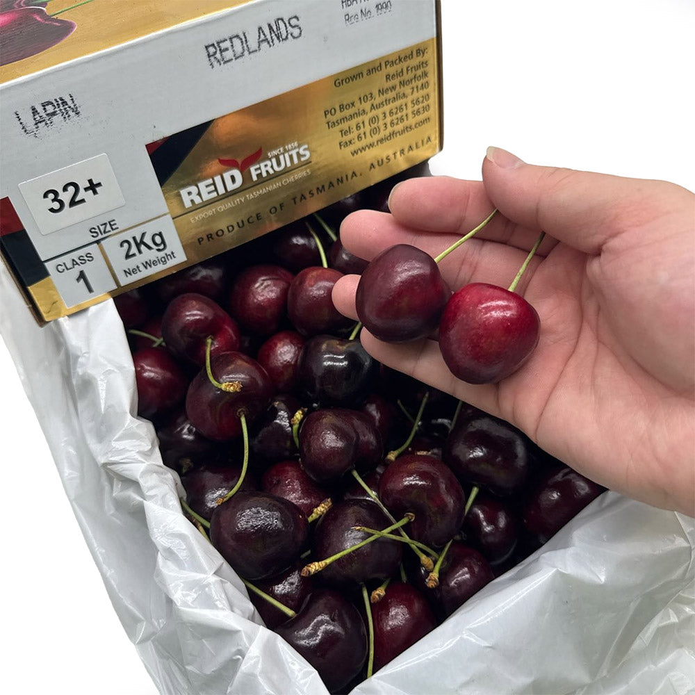 Reid-Lapin-Cherries-Gift-Box-32mm+---2kg-1