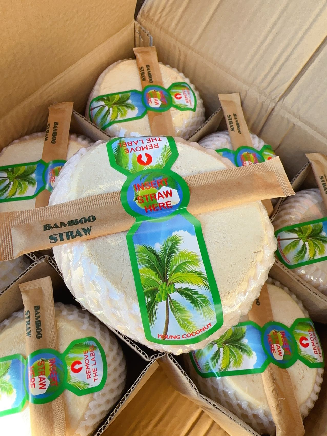 Young-Coconut---1-Piece-1