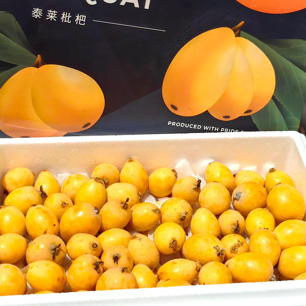 Thai-Loquat-Gift-Box-S/M---2kg-1