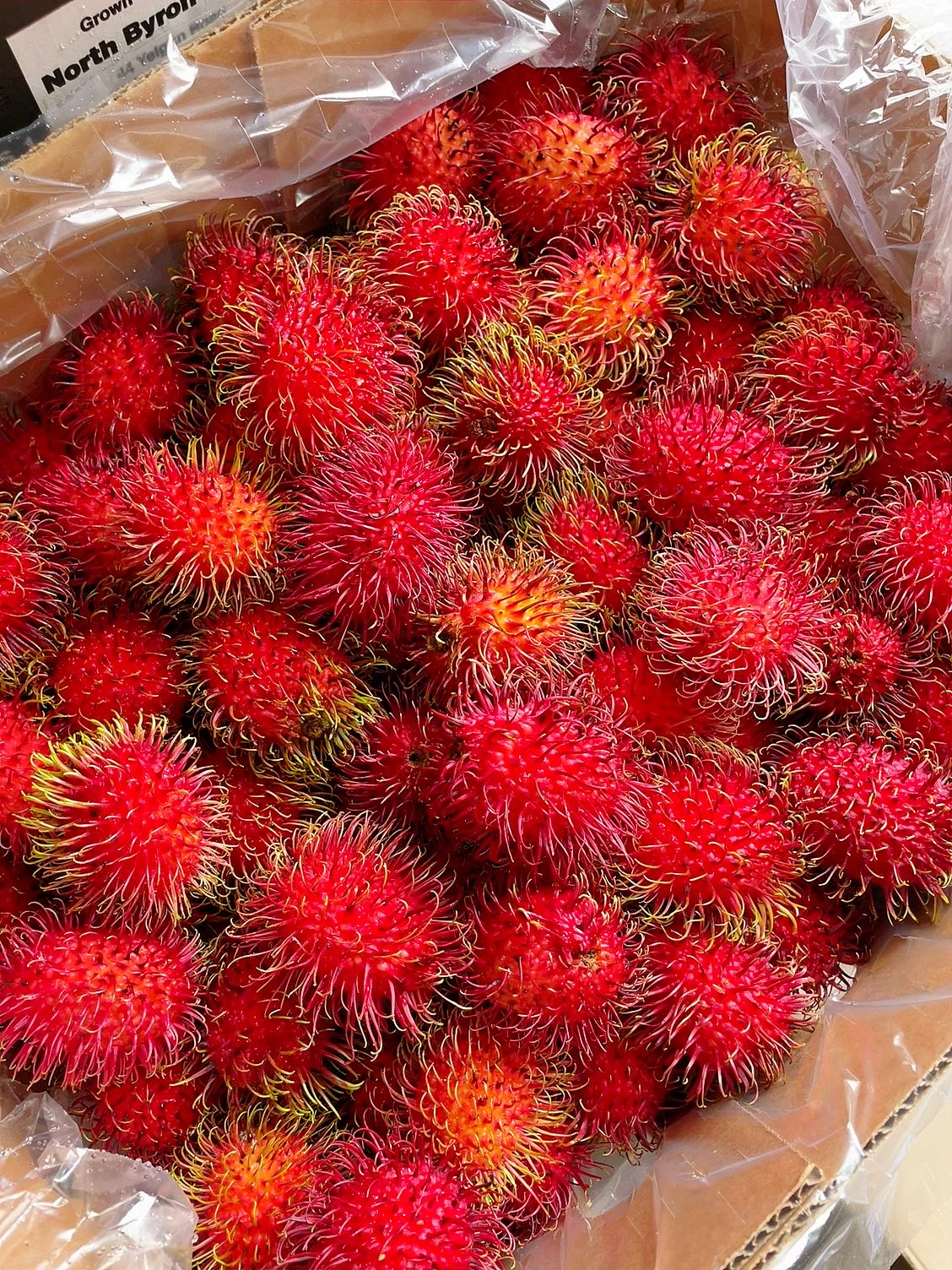 Rambutan---500g-1