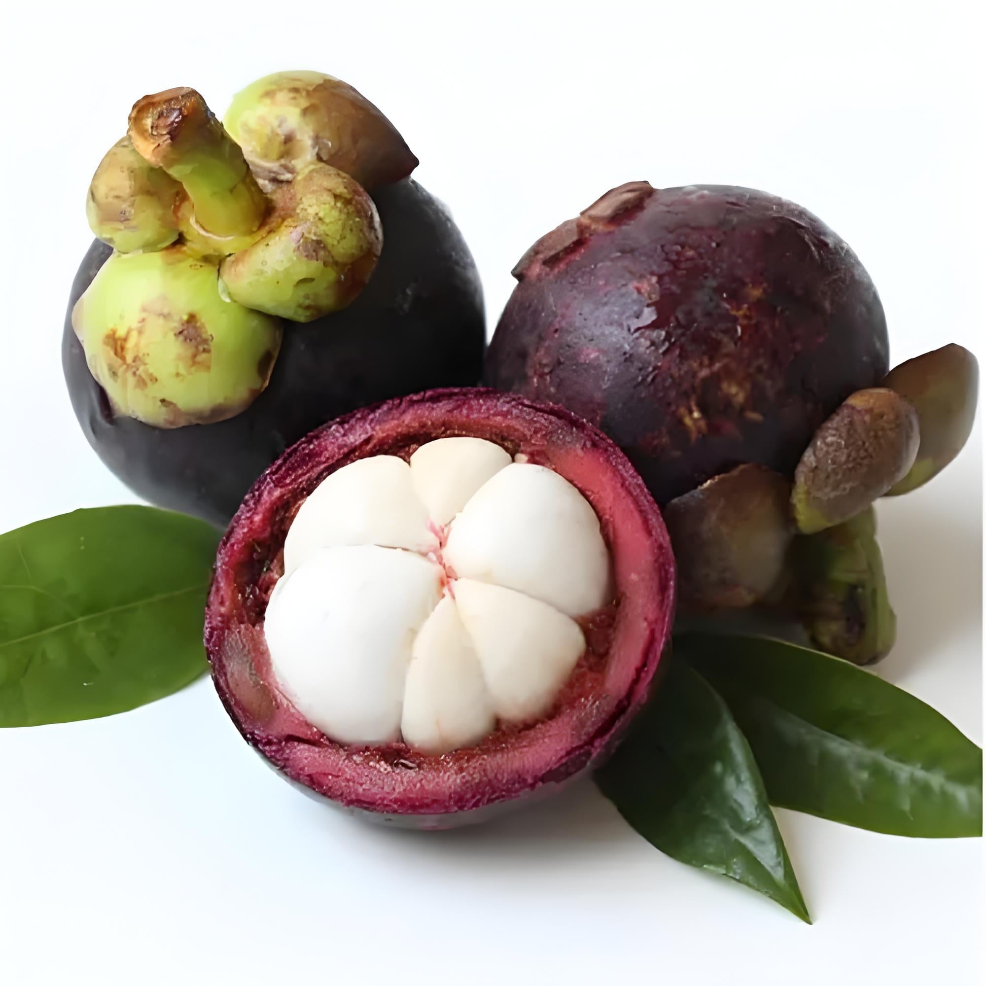 Fresh Thai Air-Freighted Mangosteen - 1kg