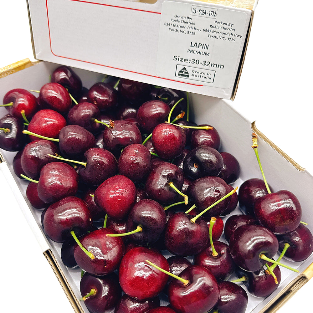 Koala-Lapin-Cherries-Gift-Box-30-32mm---1kg-1