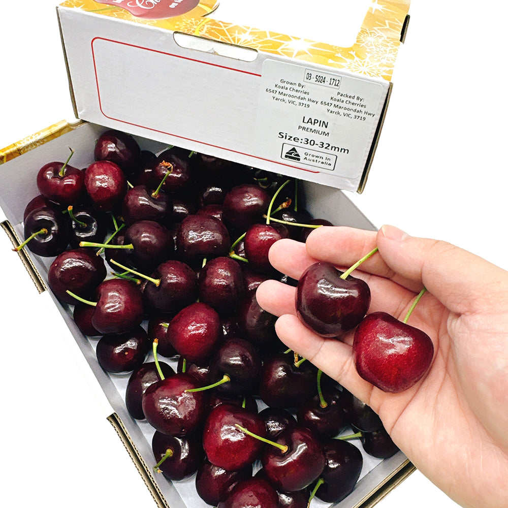 Koala-Lapin-Cherries-Gift-Box-30-32mm---1kg-1