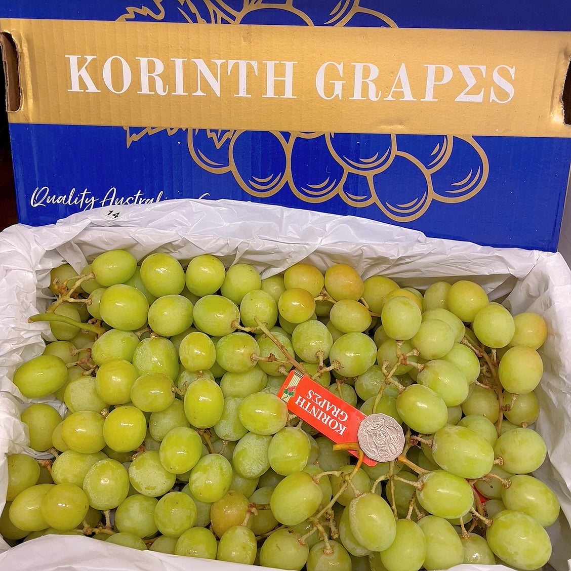 Korinth-Grapes---Autumn-Crisp-Green-Grapes---1kg -1