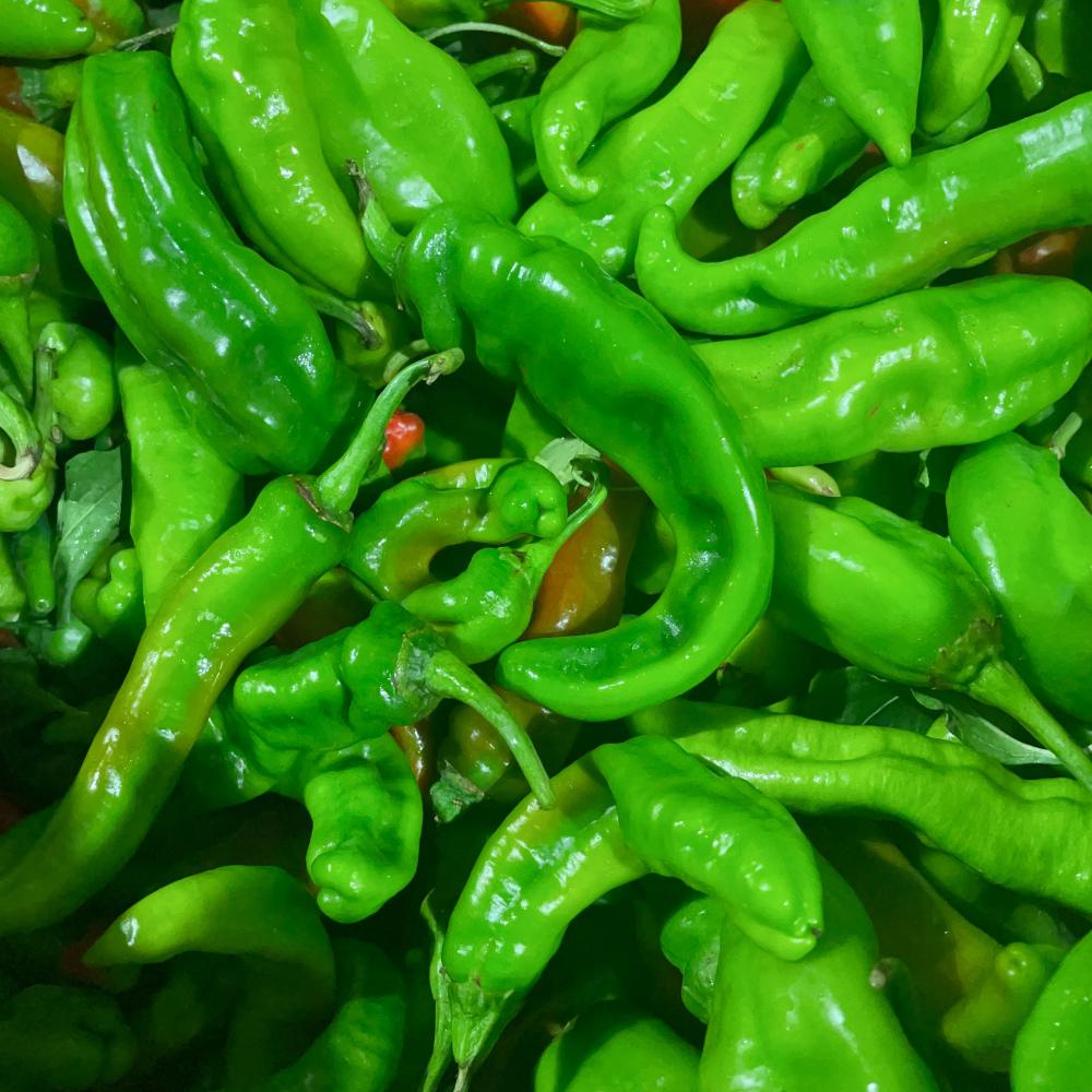 Xinjiang-Chili-Peppers---500g -1