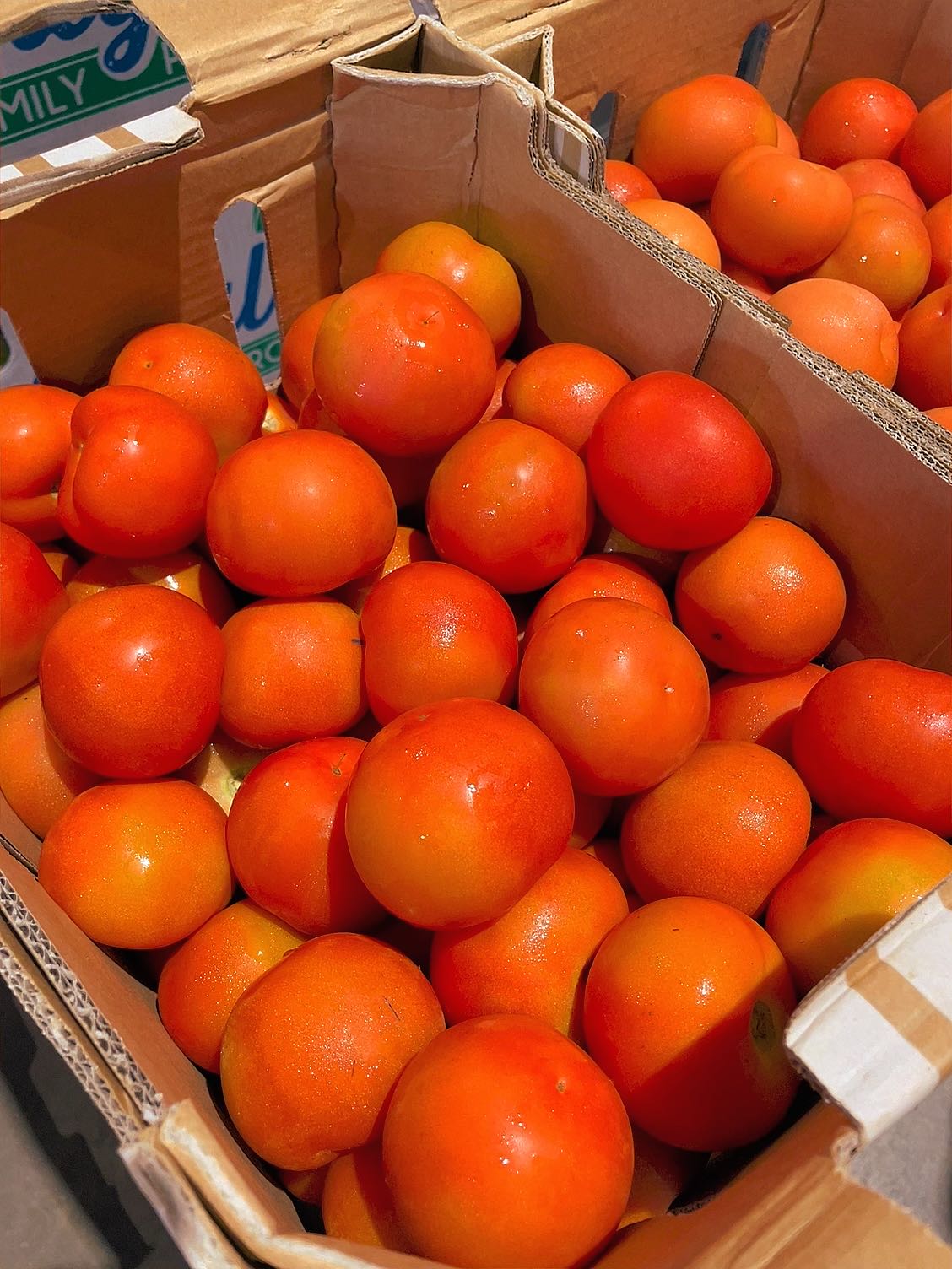 [Fresh]-Tomatoes-Approximately-1kg-1