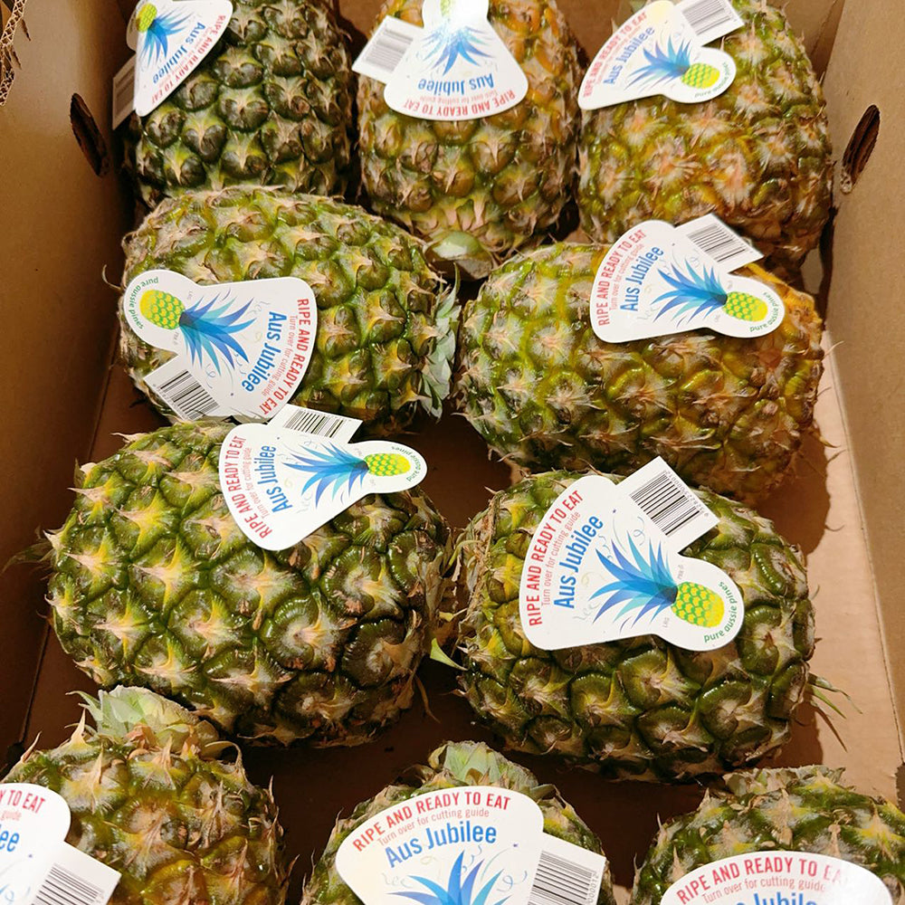 [Fresh]--Queensland's-Sweetest-Pineapple---1-Piece-1