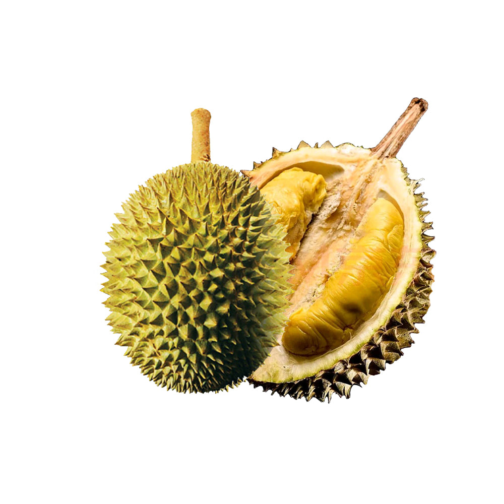 Hernan-Musang-King-Durian-2.6-2.8kg-1