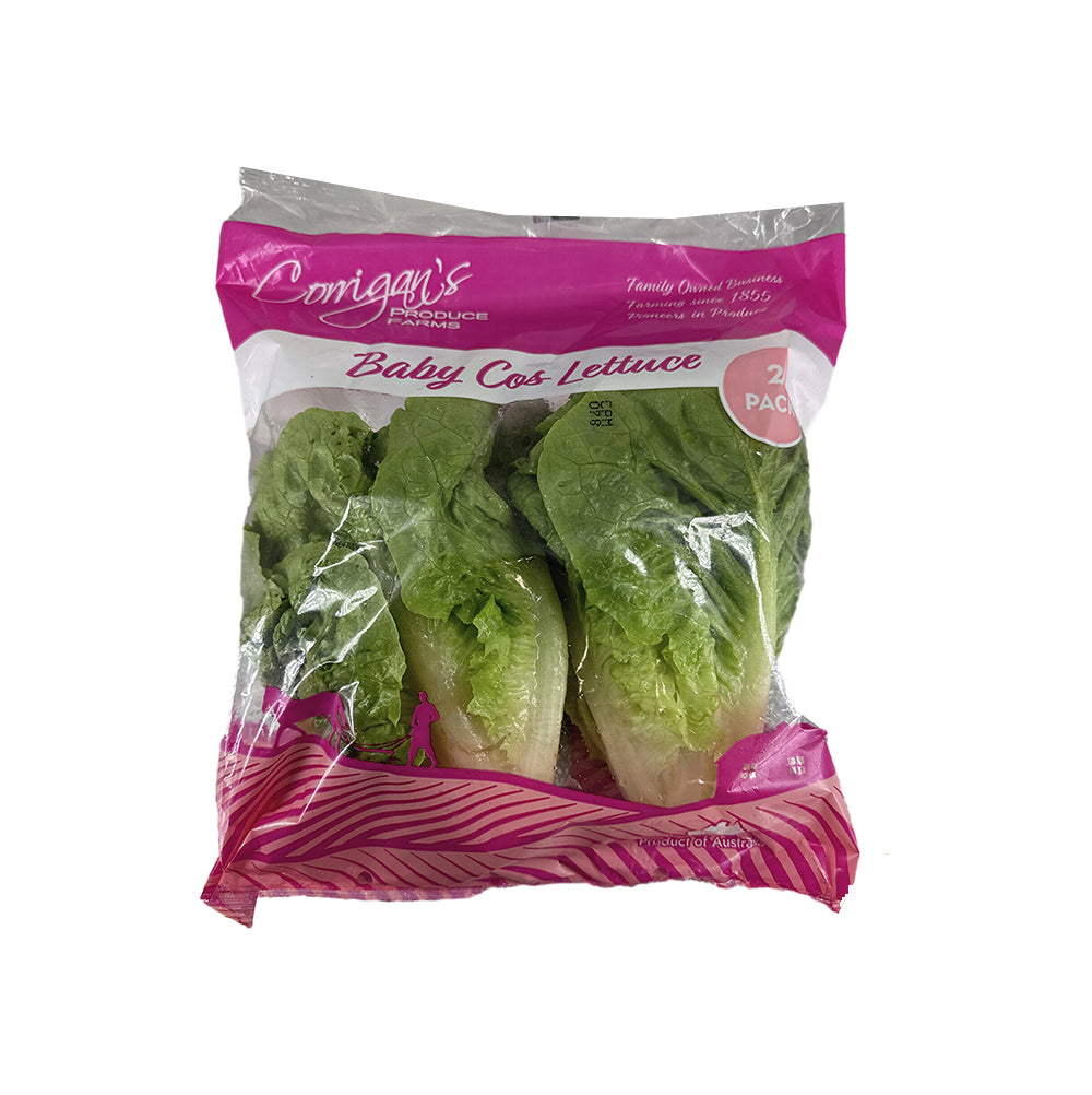 Baby-Cos-Lettuce---2-Pack -1