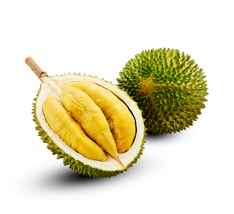 D197-Musang-King-Durian-in-Net-1-1.2kg-1