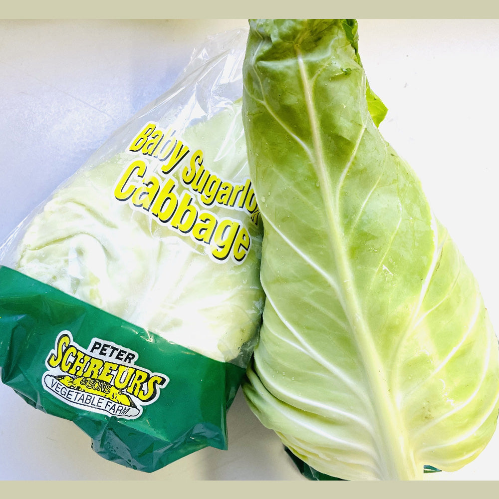 [Fresh]-Pointed-Cabbage---1-Pack-1