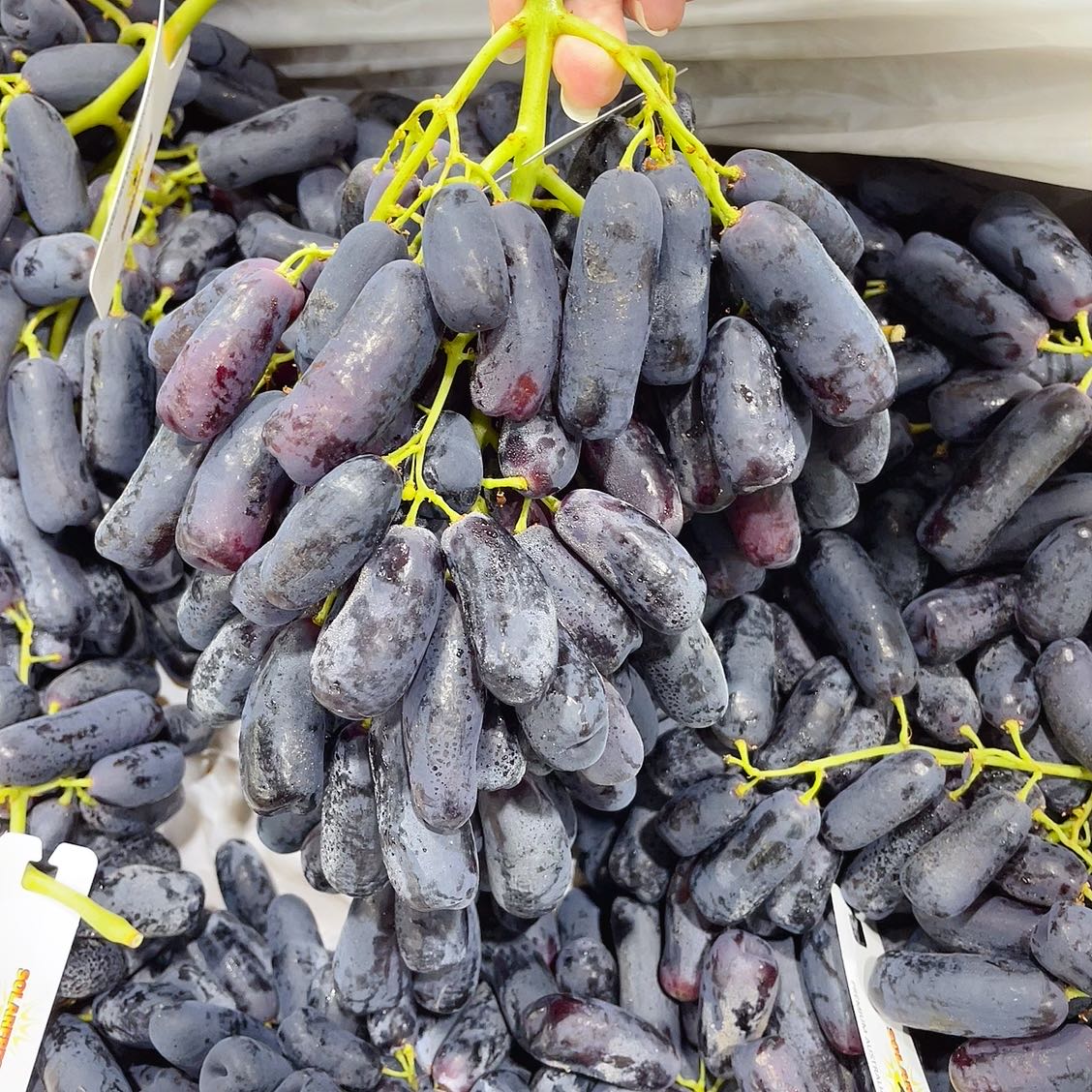 Solarfresh-Premium-Black-Finger-Grapes---1kg -1