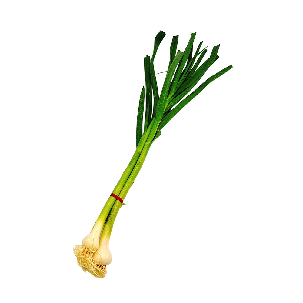 Fresh Garlic Leaves (Green Garlic) - 1 Bundle