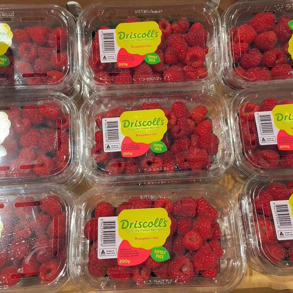 Driscoll's-Raspberries---1-Pack-(200g) -1