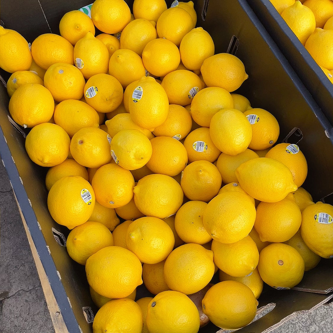 [Fresh]--Lemons,-Pack-of-4-1