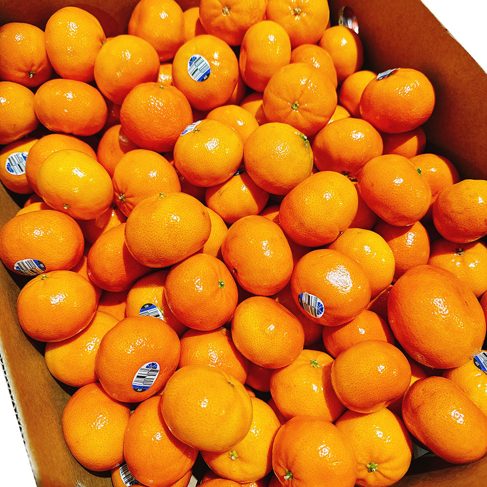 Afourer-Mandarins---1kg-1