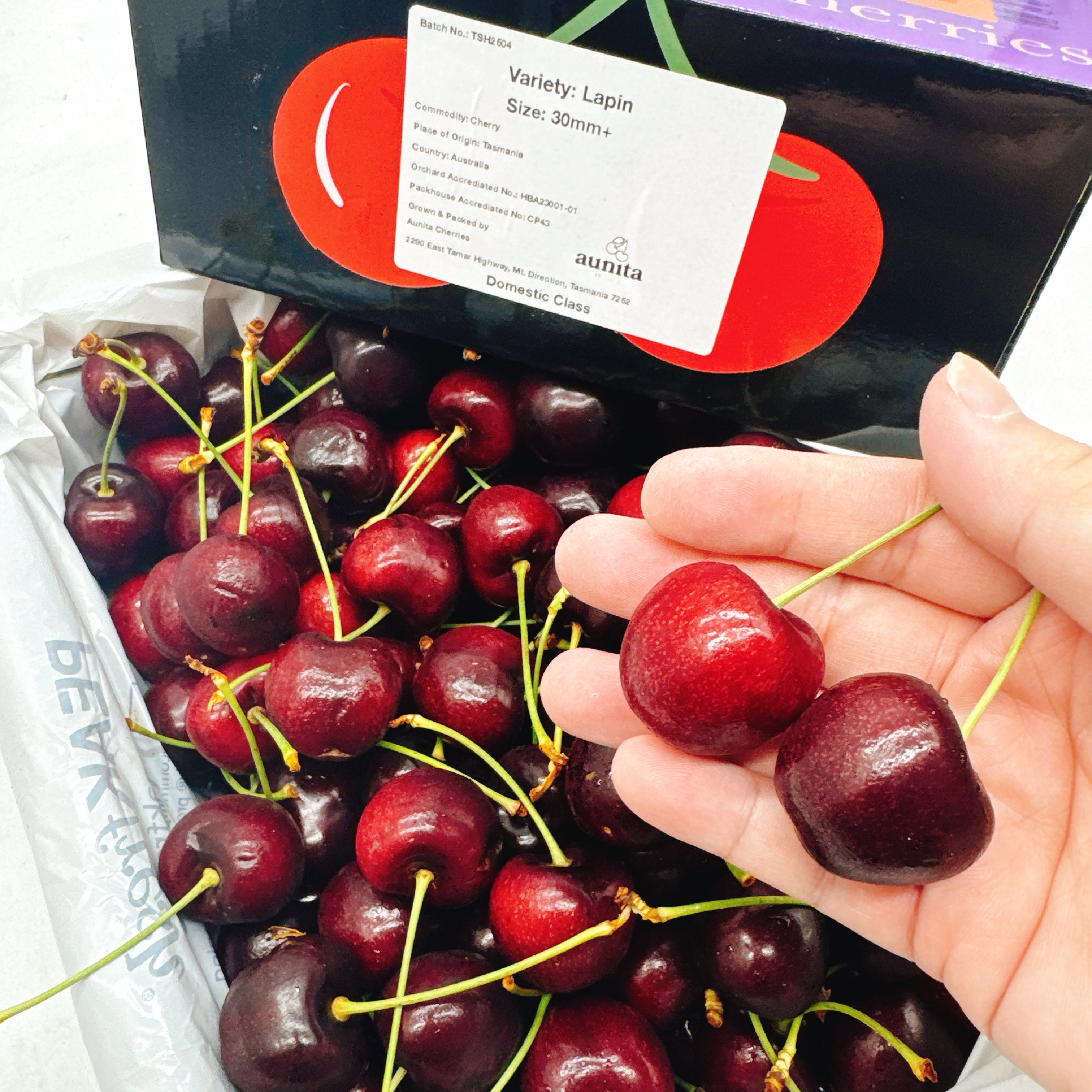 Tasmanian-Lapin-Cherries-Gift-Box-30-32mm---2kg-1