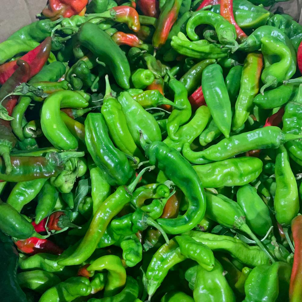 Xinjiang-Chili-Peppers---500g -1