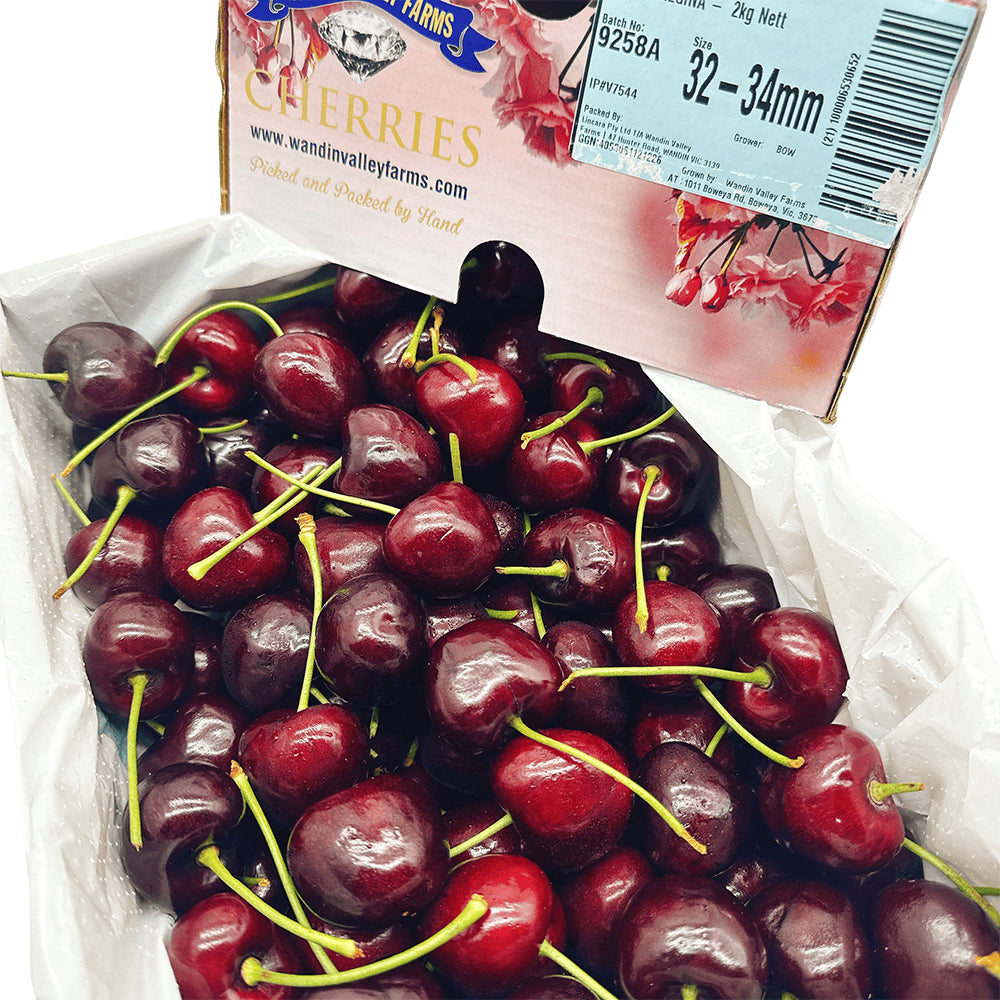 WVF-Premium-Export-Grade-Regina-Cherries-32-34mm-Gift-Box-2kg-1