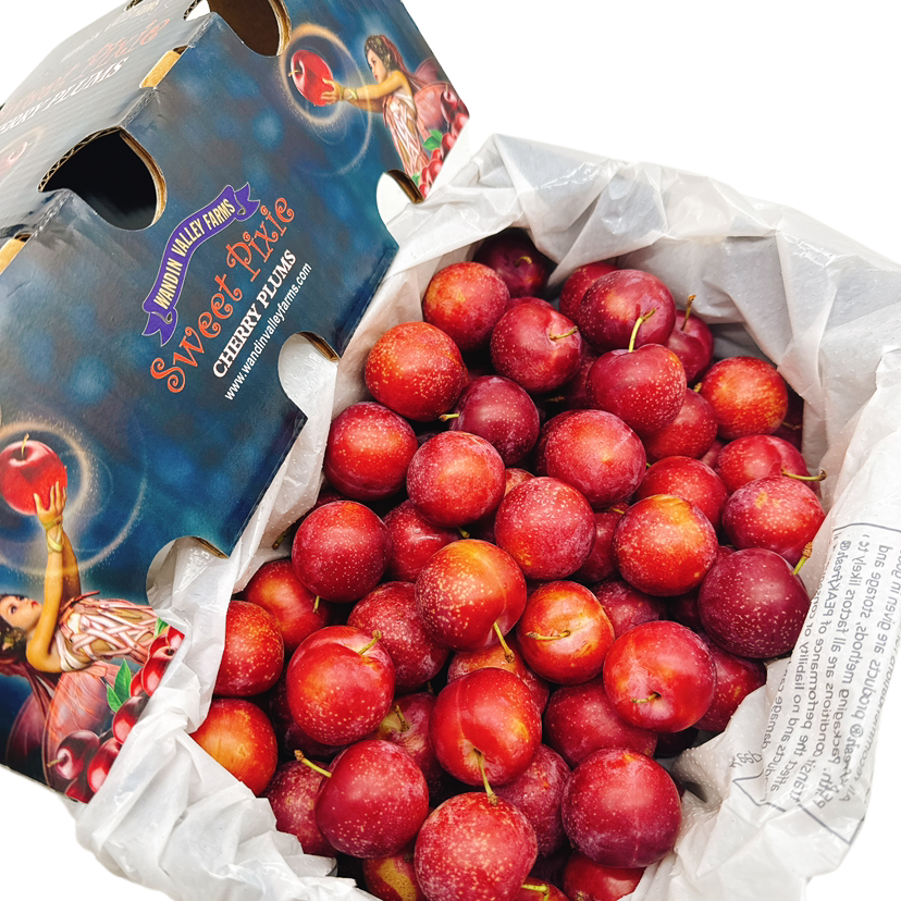 WVF-Sweet-Pixie-Cherry-Plums-Gift-Box---2kg-1