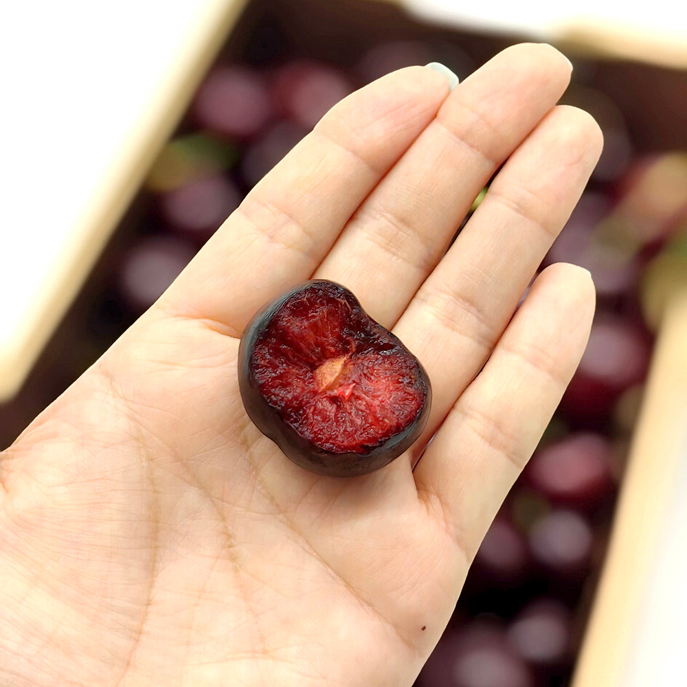 Koala-Cherries-Gift-Box-32-34mm---1kg-1