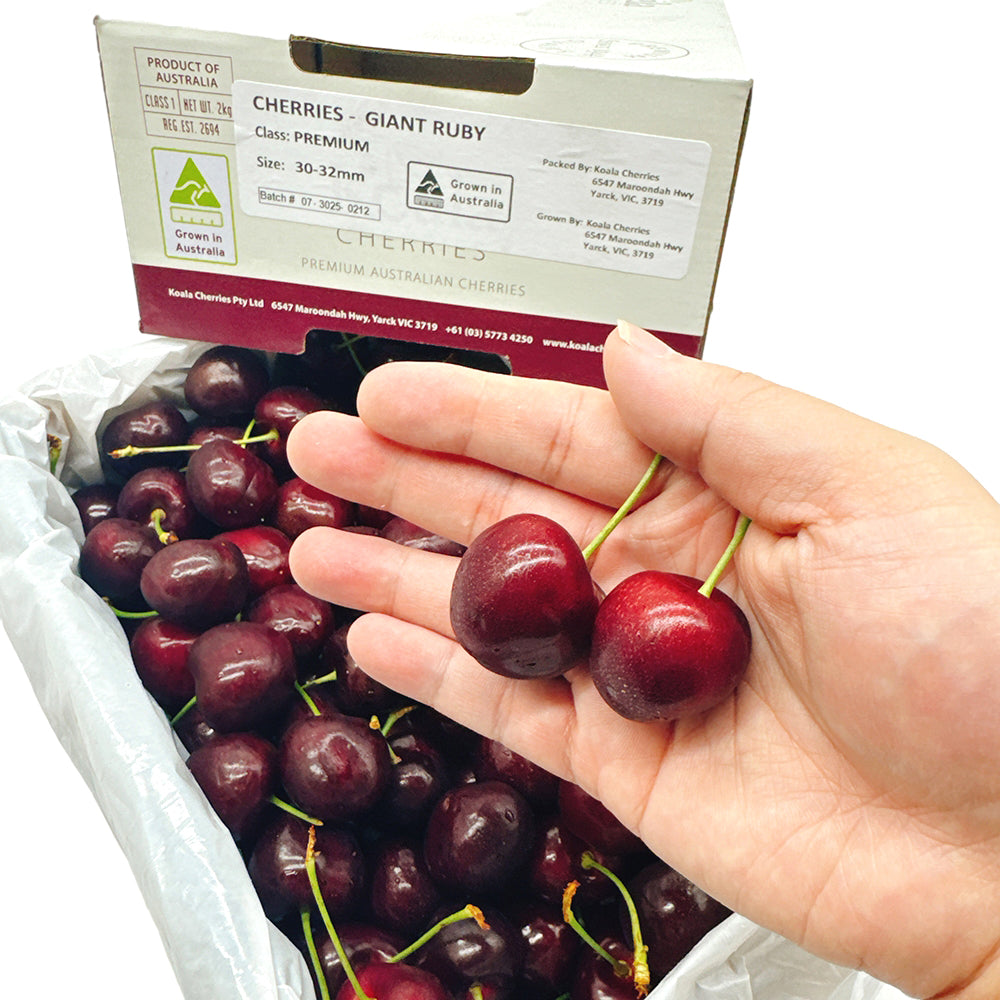 Koala-Cherries-Gift-Box-30-32mm---2kg-1