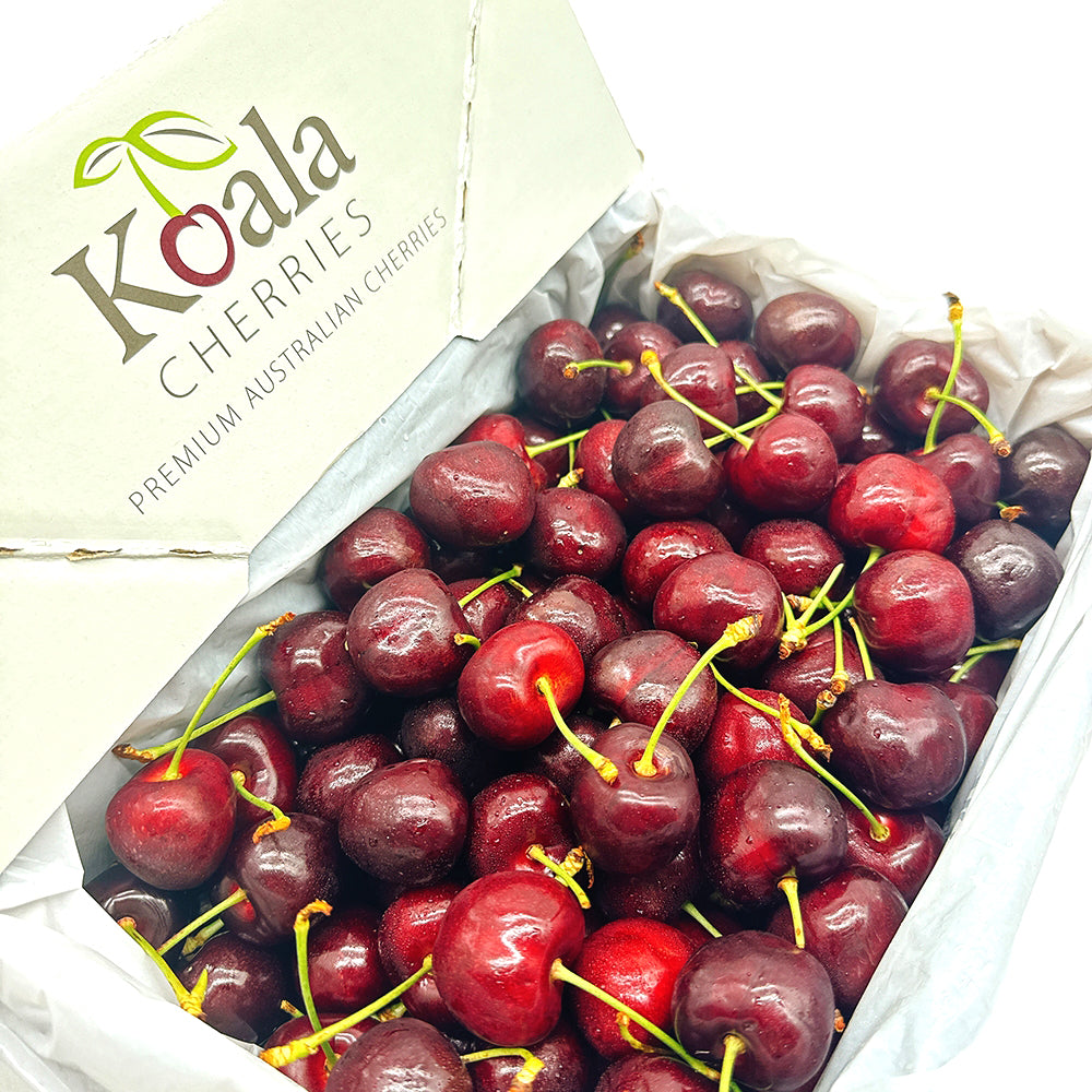 Koala-Cherries-Gift-Box-30-32mm---2kg-1