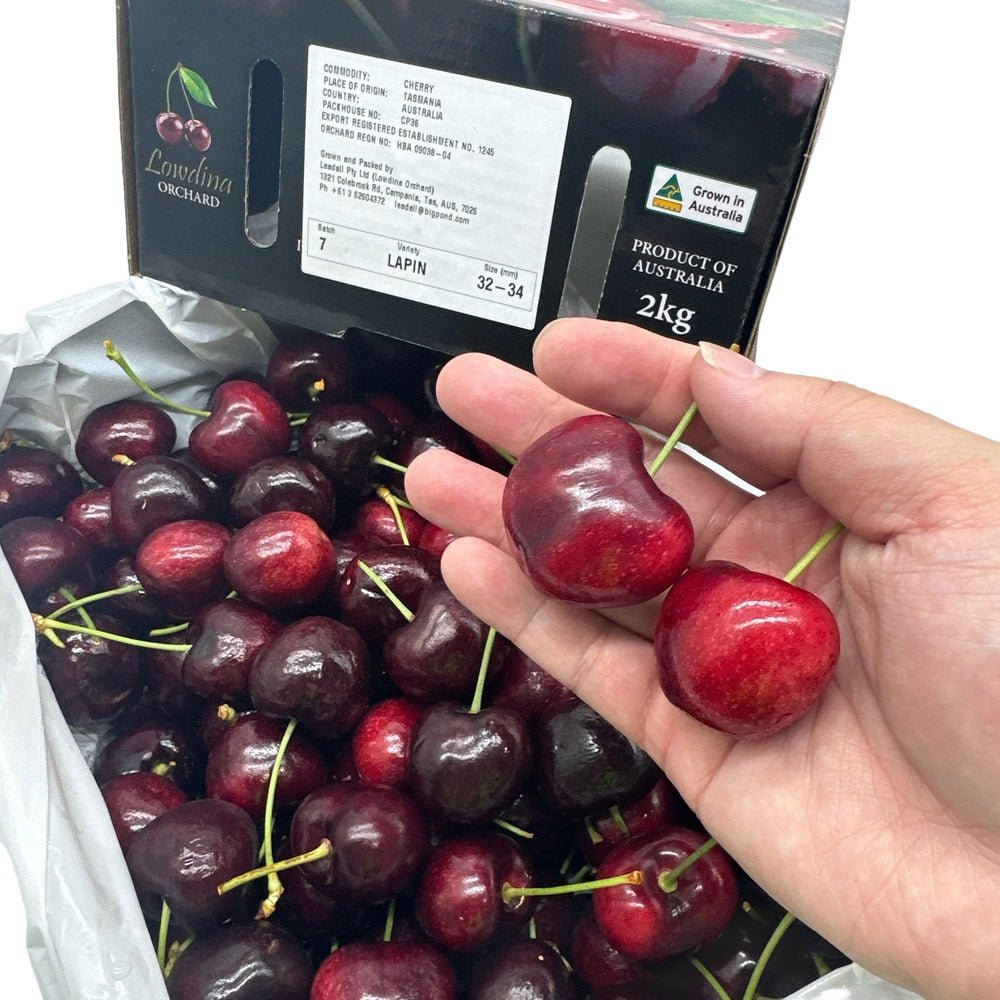 Lowdina-Orchard-Lapin-Cherries-Gift-Box-32-34mm---2kg-1