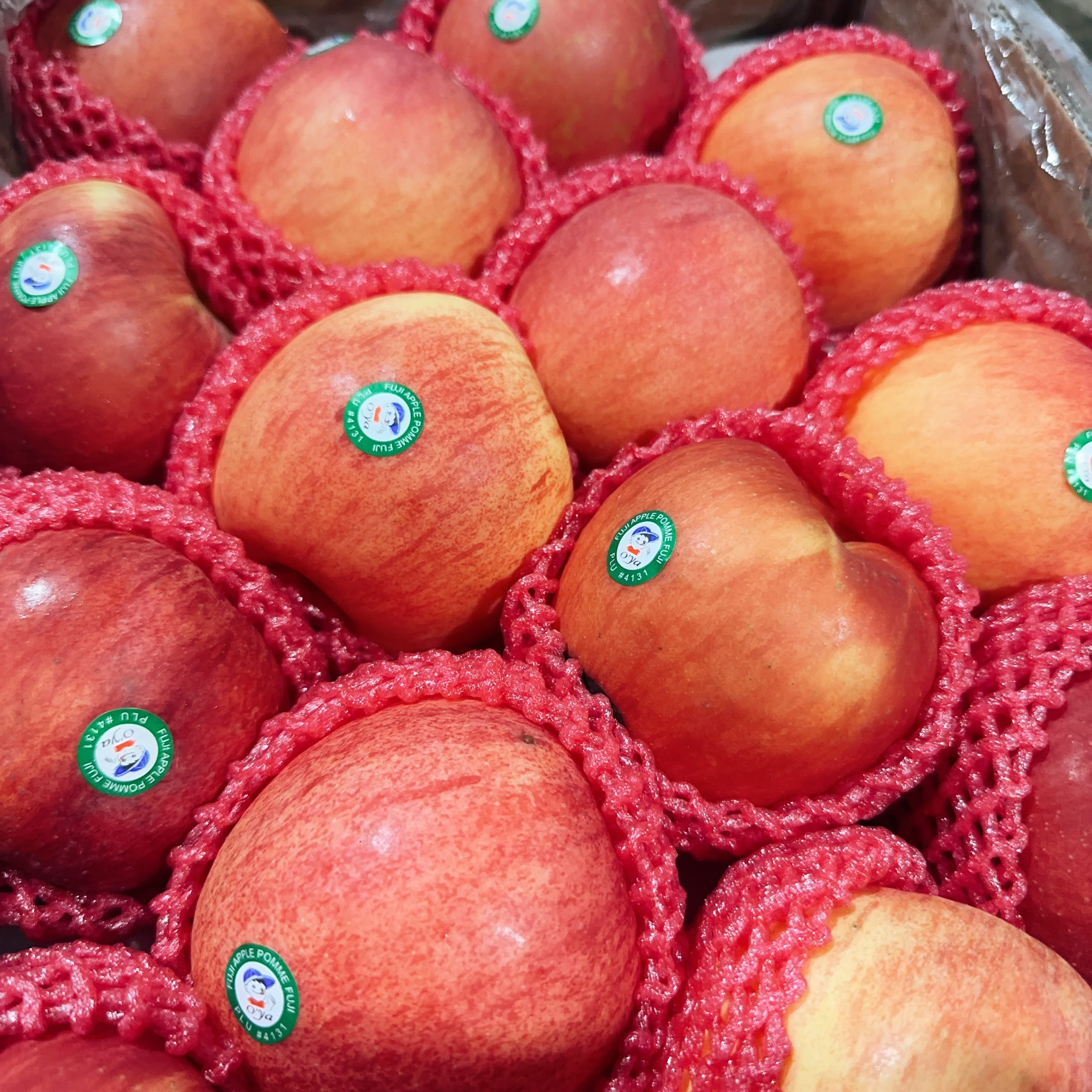 [Fresh]--Chinese-Red-Fuji-Apples-Approximately-1-1.2kg-1