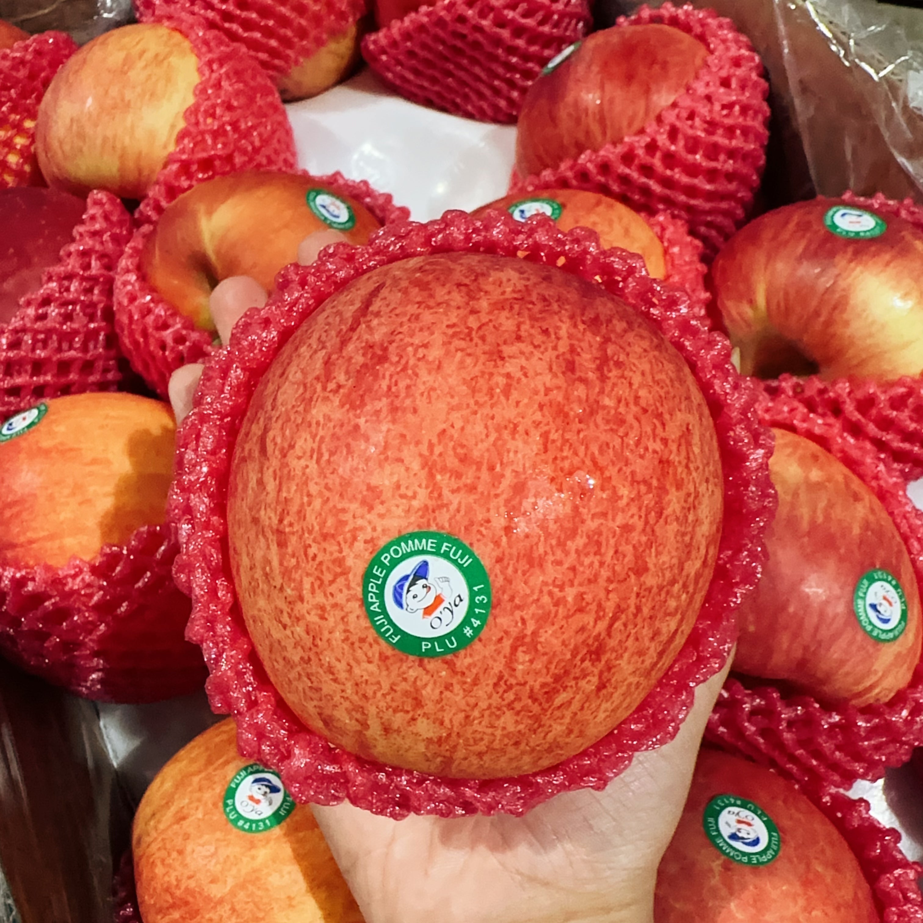 [Fresh]--Chinese-Red-Fuji-Apples-Approximately-1-1.2kg-1