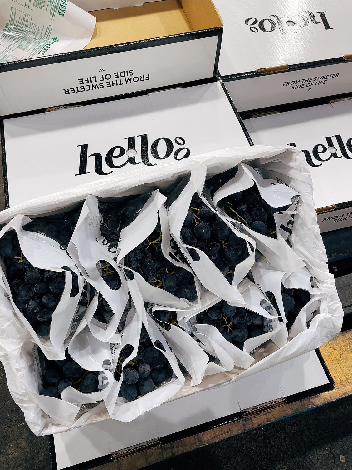 Hello-Adora-Sweet-Juicy-Black-Grapes---900-1000g -1