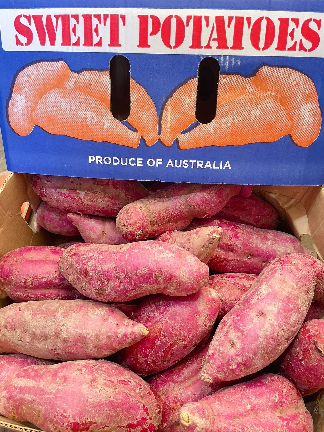 Australian-Purple-Sweet-Potatoes---1.1-1.2kg-1