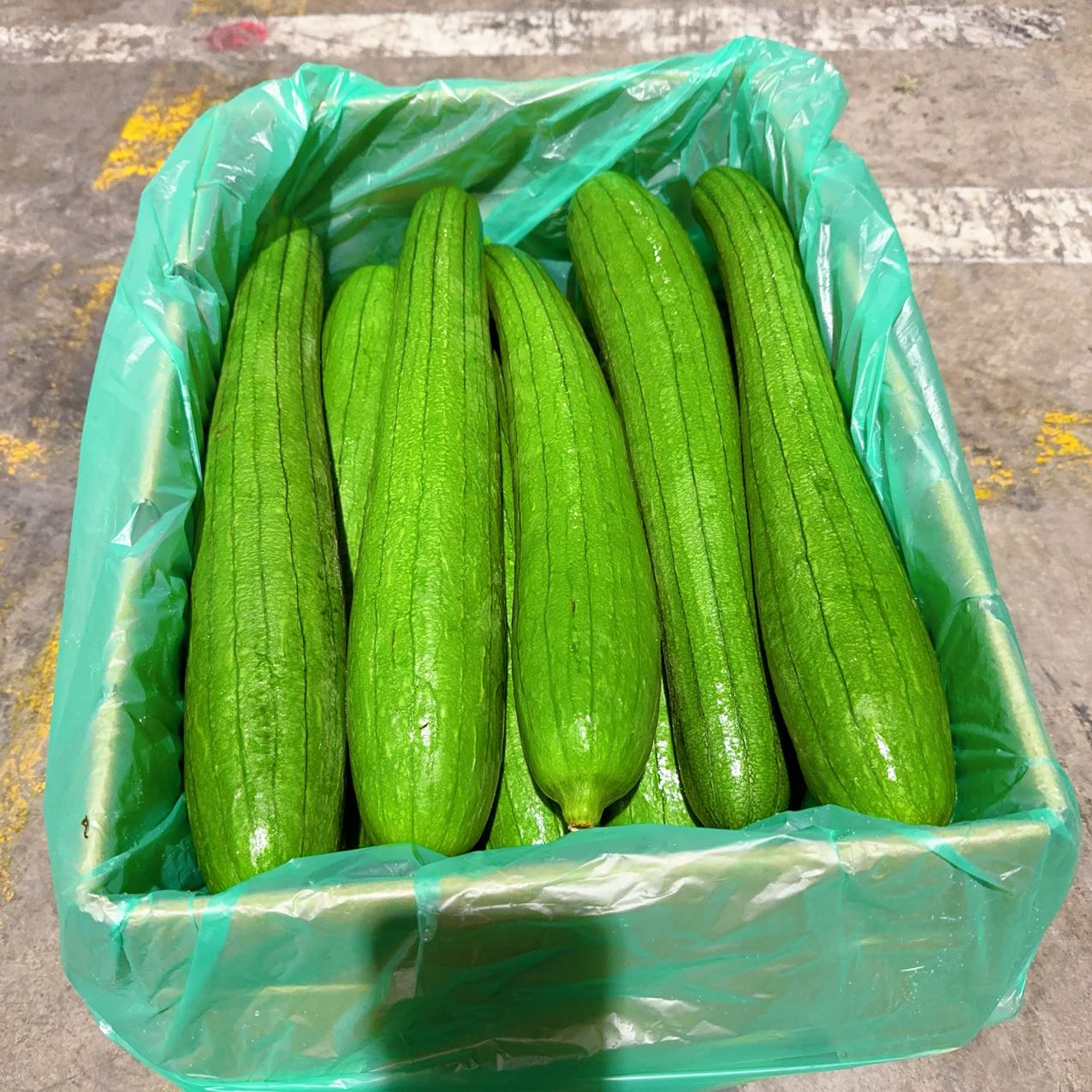 Premium-Fresh-Sponge-Gourd---1-Piece,-600-800g -1