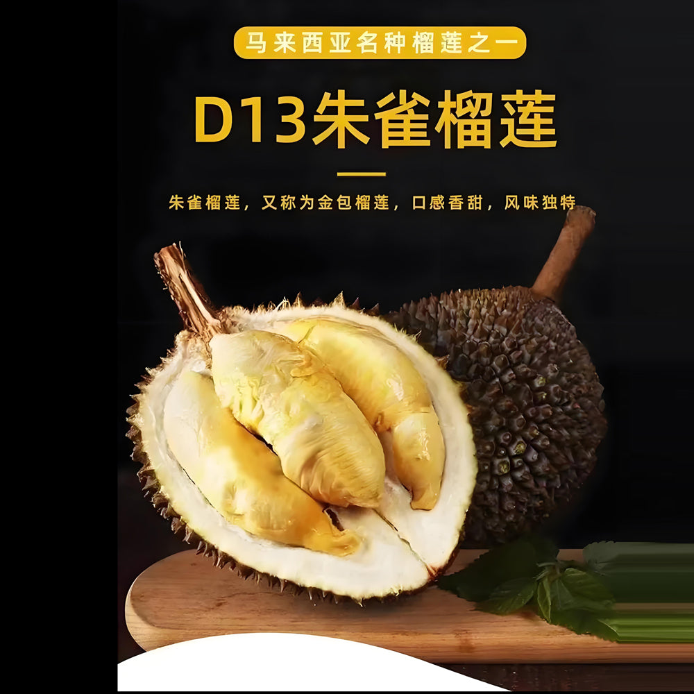 D13-Zhuque-'Little-Black-Thorn'-Golden-Pillow-Durian---Multiple-Sizes-Available-1