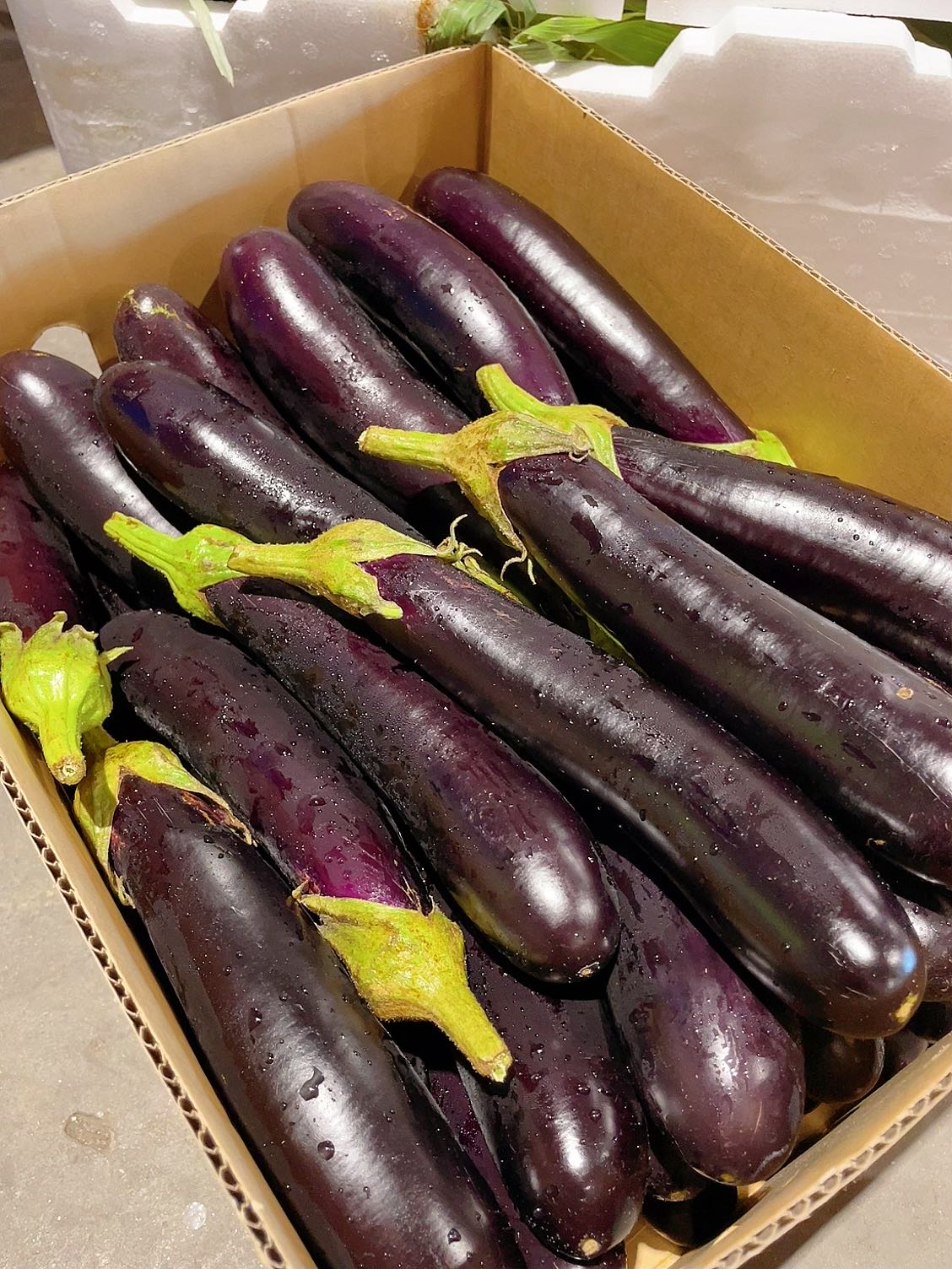 [Fresh]-Lebanese-Eggplant-Approximately-500g-1