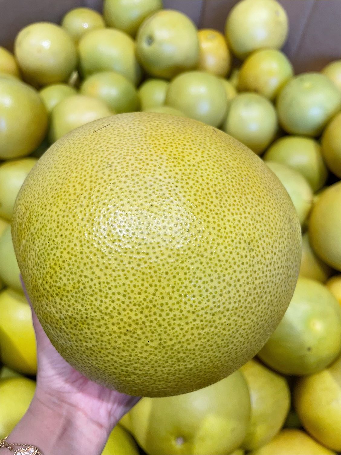 Xi-Shi-Honey-Pomelo---0.9-1.2kg-1