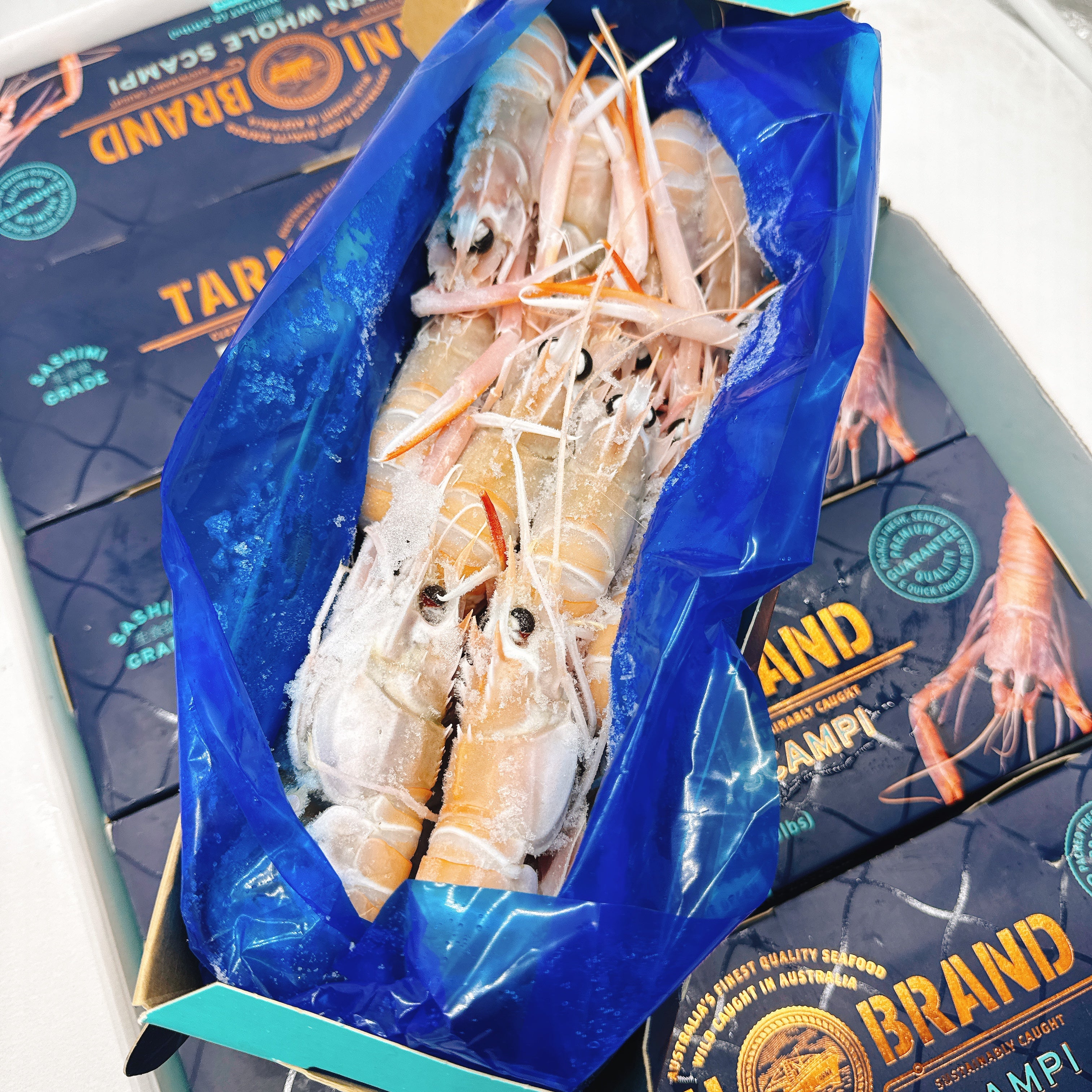 Tarini-Brand-Frozen-Wild-Western-Australian-Scampi-NO.4---1kg-1