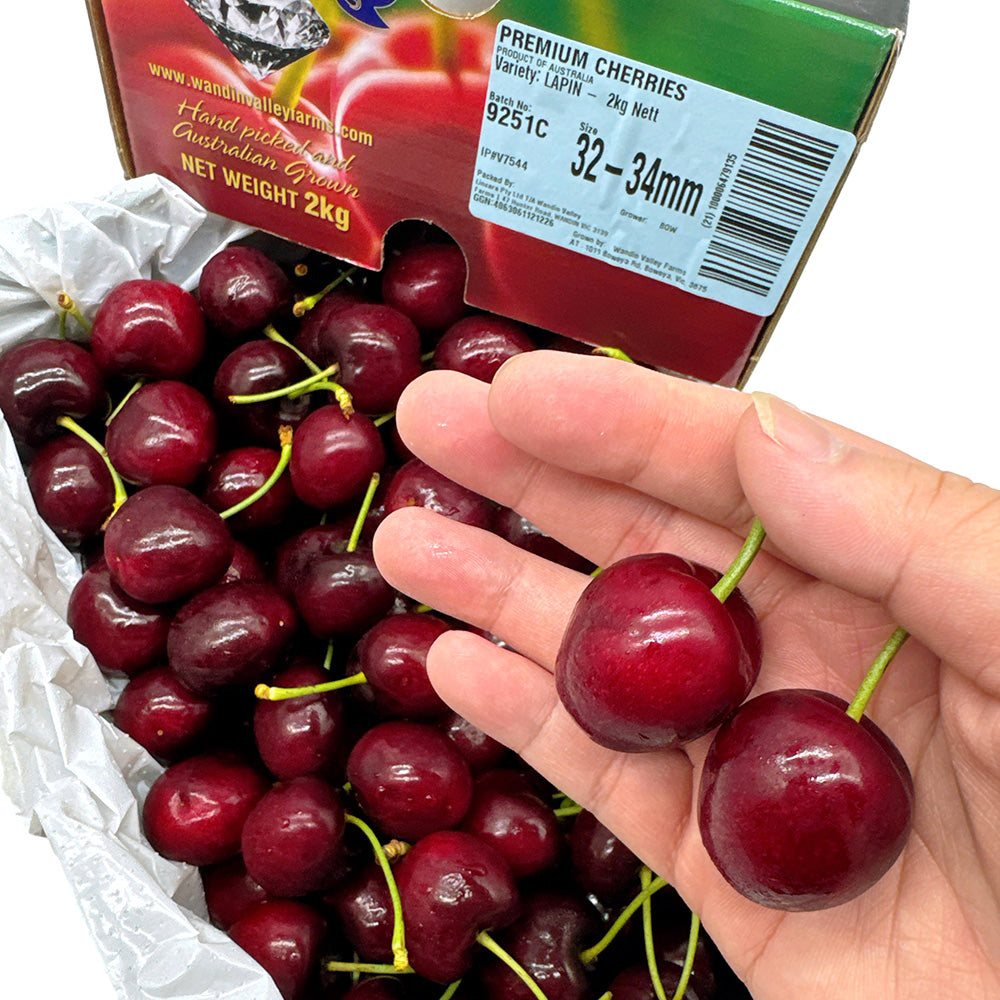 WVF-Premium-Lapin-Cherries-Gift-Box-32-34mm---2kg-1