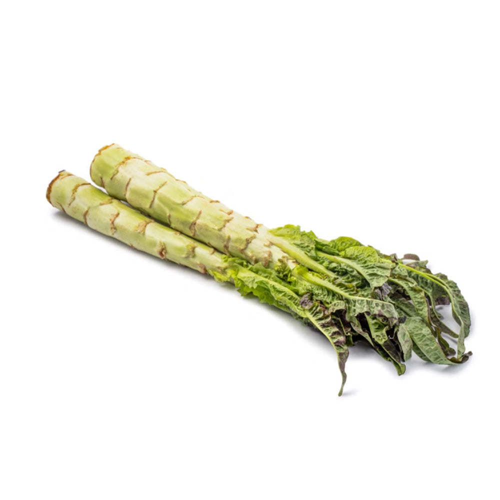 Fresh Celtuce - 2-4 Stalks