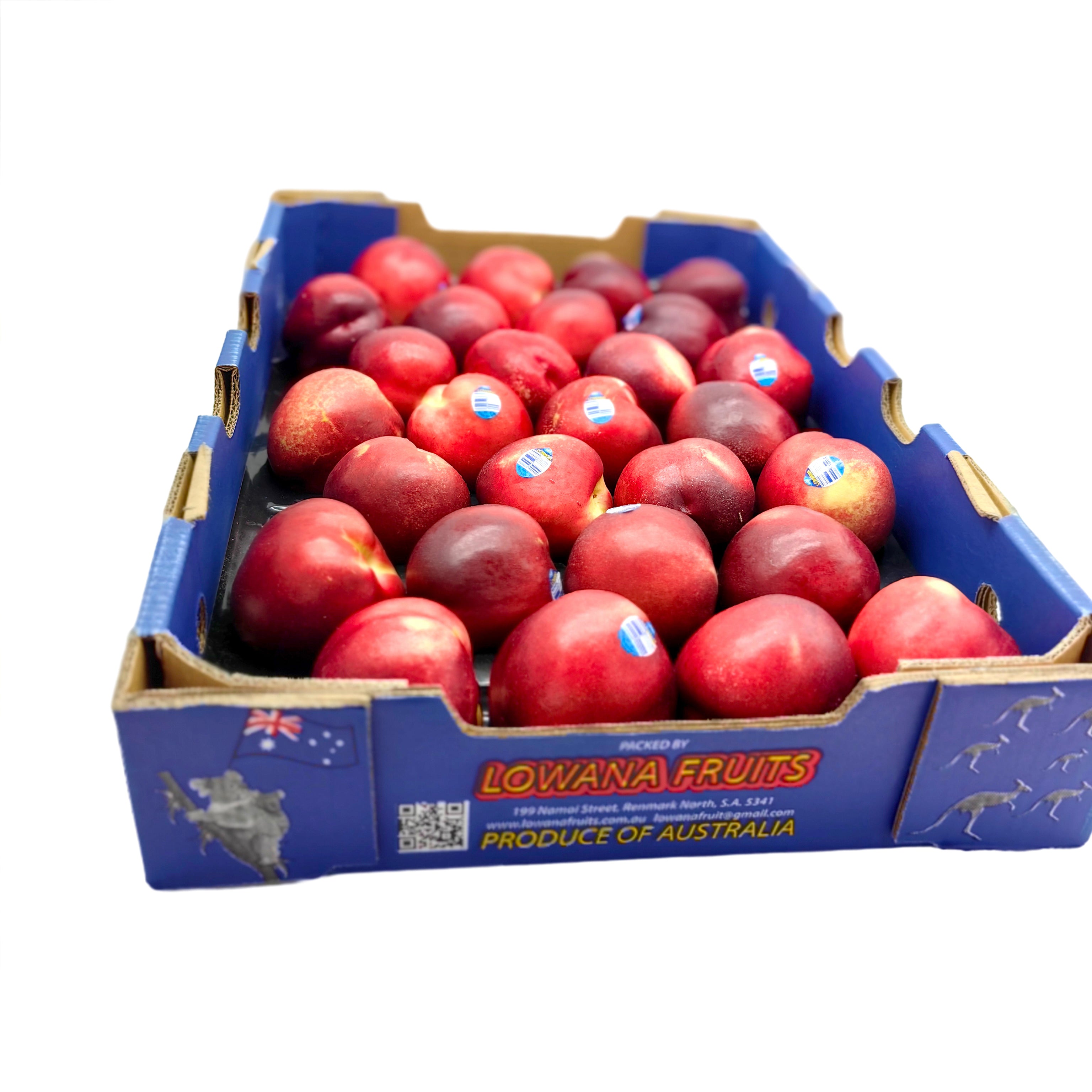 Lowana-White-Nectarines---Large,-4-Pieces-1