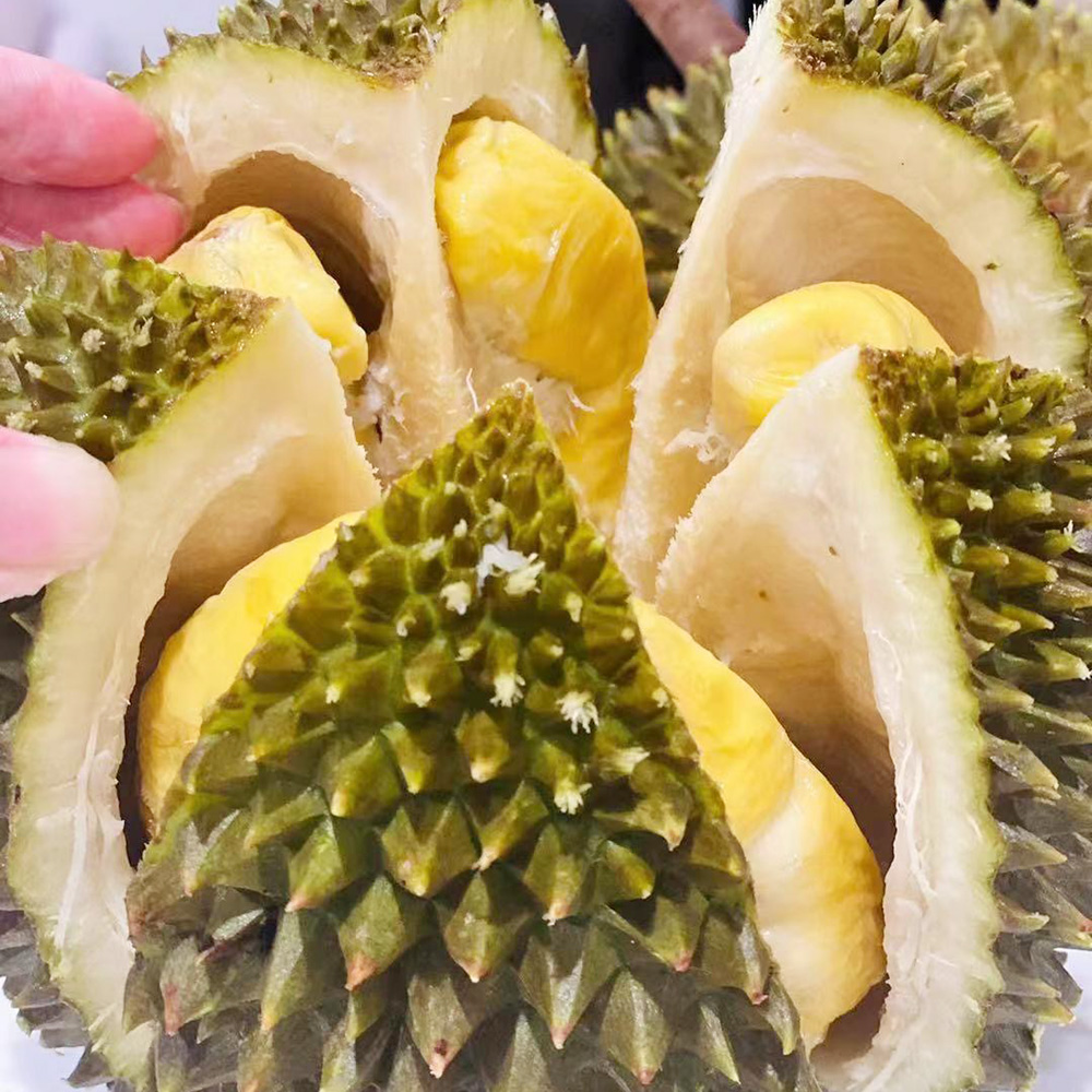 Dking-Musang-King-Durian---Whole,-Large,-Approx.-2kg -1