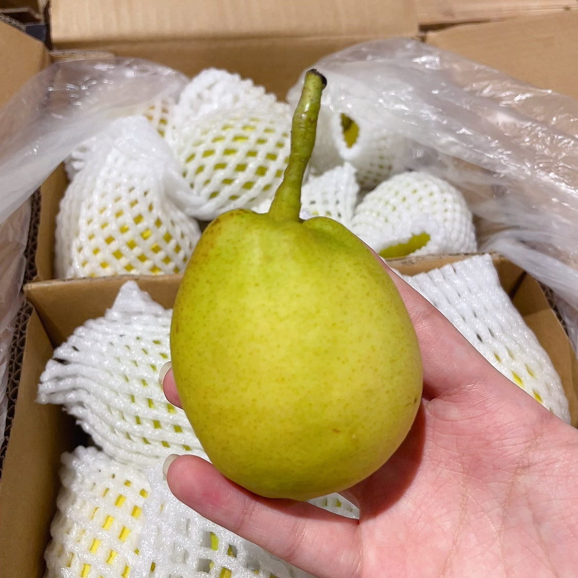 [Fresh]--Imported-Chinese-Xinjiang-Korla-Fragrant-Pears,-Approximately-1kg-1