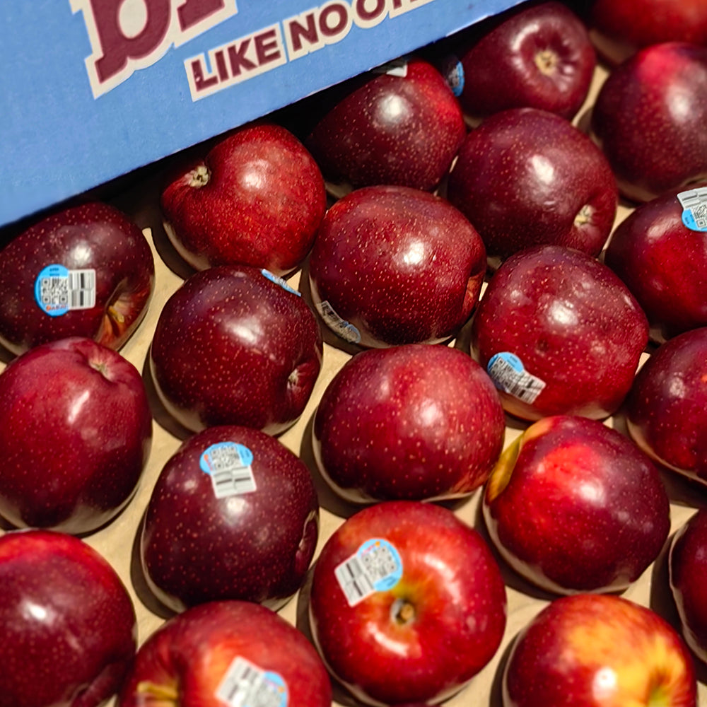 Bravo-Apples---Box-of-12kg-1