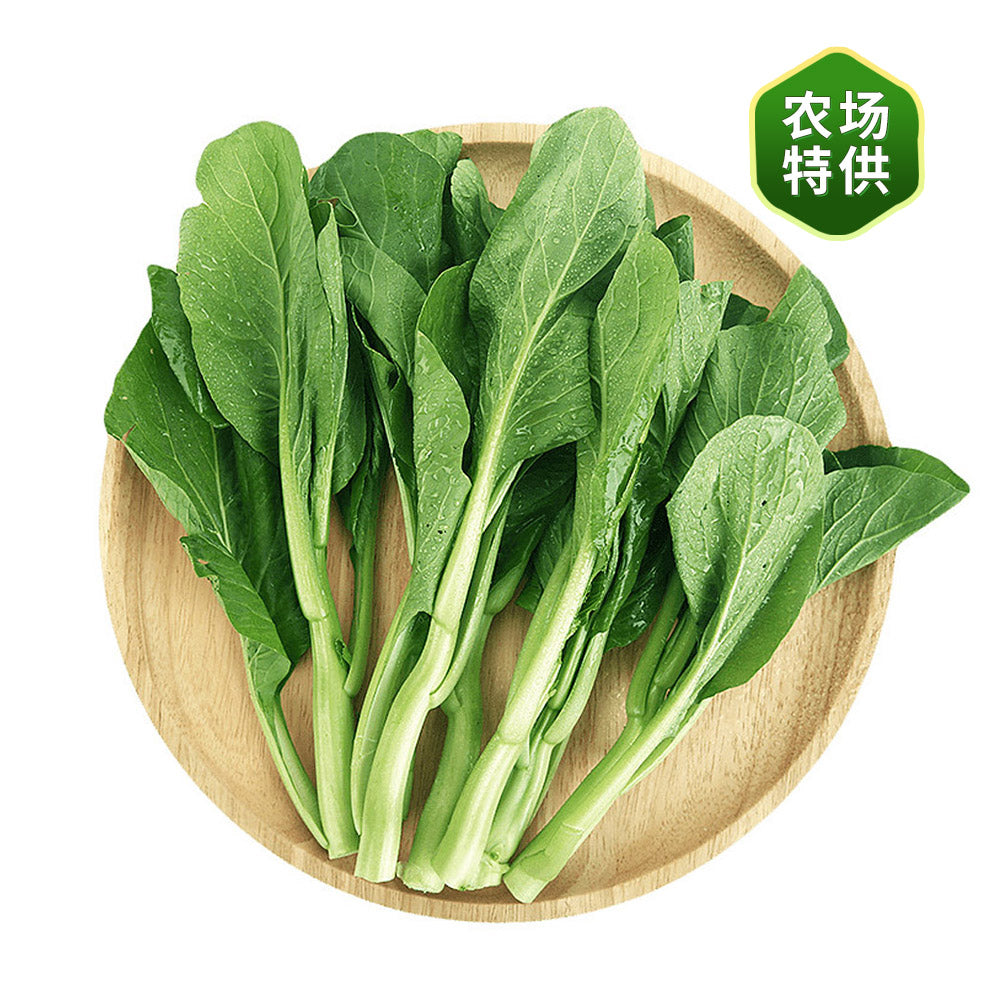 [Fresh]-Green-Stemmed-Vegetable-Hearts-Bundle-1