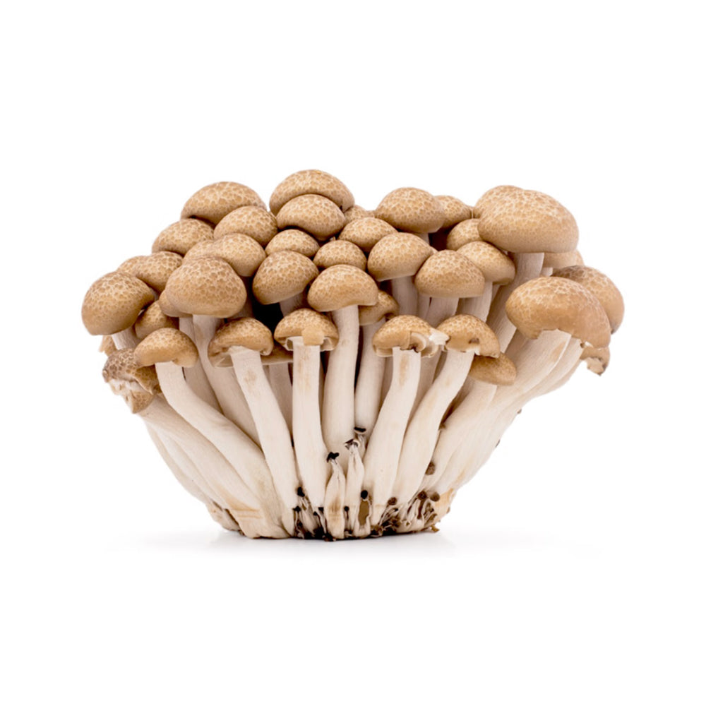 Shimeji Mushrooms, 1 Box