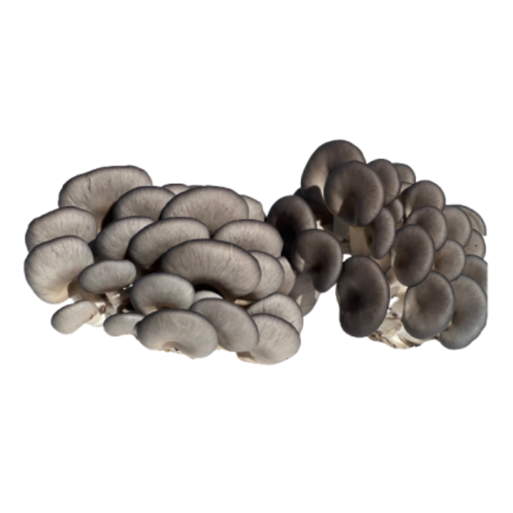 Chois Shimeji Mushrooms - 150g