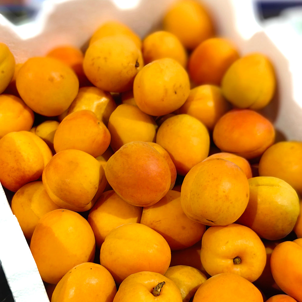 Fresh-Apricots---500g-1